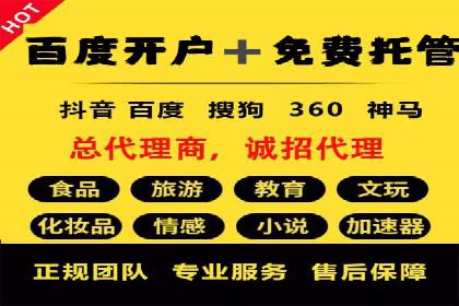 百度推广实战技巧：案例详解